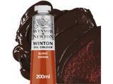 Winsor & Newton Winton Olieverf 200ml S1 074 Burnt Sienna