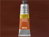 Winsor & Newton Galeria Acrylic 60ml Serie 1 074 Burnt Sienna