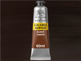 Winsor & Newton Galeria Acrylic 60ml Serie 1 076 Burnt Umber