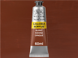Winsor & Newton Galeria Acrylic 60ml Serie 1 077 Burnt Sienna Opaque