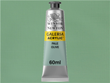 Winsor & Newton Galeria Acrylic 60ml Serie 1 435 Pale Olive