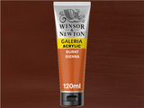 Winsor & Newton Galeria Acrylic 120ml S1 Burnt Sienna