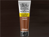 Winsor & Newton Galeria Acrylic 120ml S1 Burnt Umber