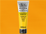 Winsor & Newton Galeria Acrylic 120ml S1 Cadmium Yellow D.h.