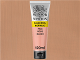 Winsor & Newton Galeria Acrylic 120ml S1 Pale Rose Blush