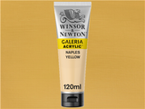 Winsor & Newton Galeria Acrylic 120ml S1 Naples Yellow