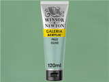 Winsor & Newton Galeria Acrylic 120ml S1 Pale Olive