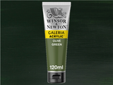 Winsor & Newton Galeria Acrylic 120ml S1 Olive Green
