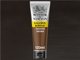 Winsor & Newton Galeria Acrylic 120ml S1 Vandyke Brown