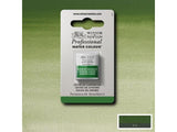 Winsor & Newton Aquarelverf 1/2 Napje S3 459 Oxide Of Chromium