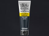 Winsor & Newton Galeria Acrylic 120ml S1 Paynes Gray