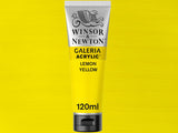 Winsor & Newton Galeria Acrylic 120ml S1 Lemon Yellow