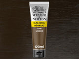 Winsor & Newton Galeria Acrylic 120ml S1 Raw Umber