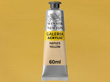 Winsor & Newton Galeria Acrylic 60ml Serie 1 422 Naples Yellow