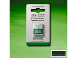 Winsor & Newton Aquarelverf 1/2 Napje S1 311 Hookers Green