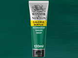 Winsor & Newton Galeria Acrylic 120ml S1 Permanent Green Dp