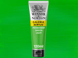 Winsor & Newton Galeria Acrylic 120ml S1 Permanent Green Light
