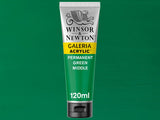 Winsor & Newton Galeria Acrylic 120ml S1 Permanent Green Middle