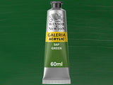 Winsor & Newton Galeria Acrylic 60ml Serie 1 599 Sap Green