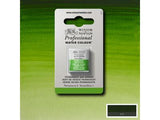 Winsor & Newton Aquarelverf 1/2 Napje S1 503 Permanent Sapgroen
