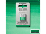 Winsor & Newton Aquarelverf 1/2 Napje S1 721 Winsor Green (ys)