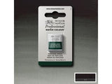 Winsor & Newton Aquarelverf 1/2 Napje S2 460 Perylene Green