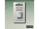 Winsor & Newton Aquarelverf 1/2 Napje S1 637 Terre Verte